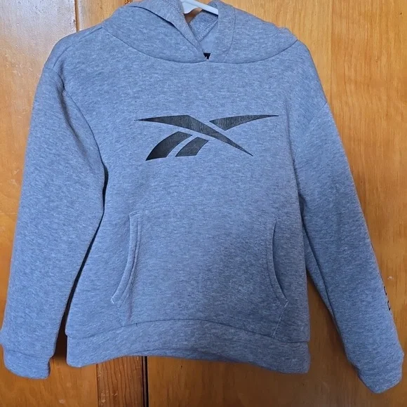 Reebok Gray Hoodie and Pants Set 4t Brand new - Picture 2 of 4